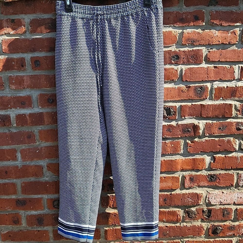 J crew blue pants